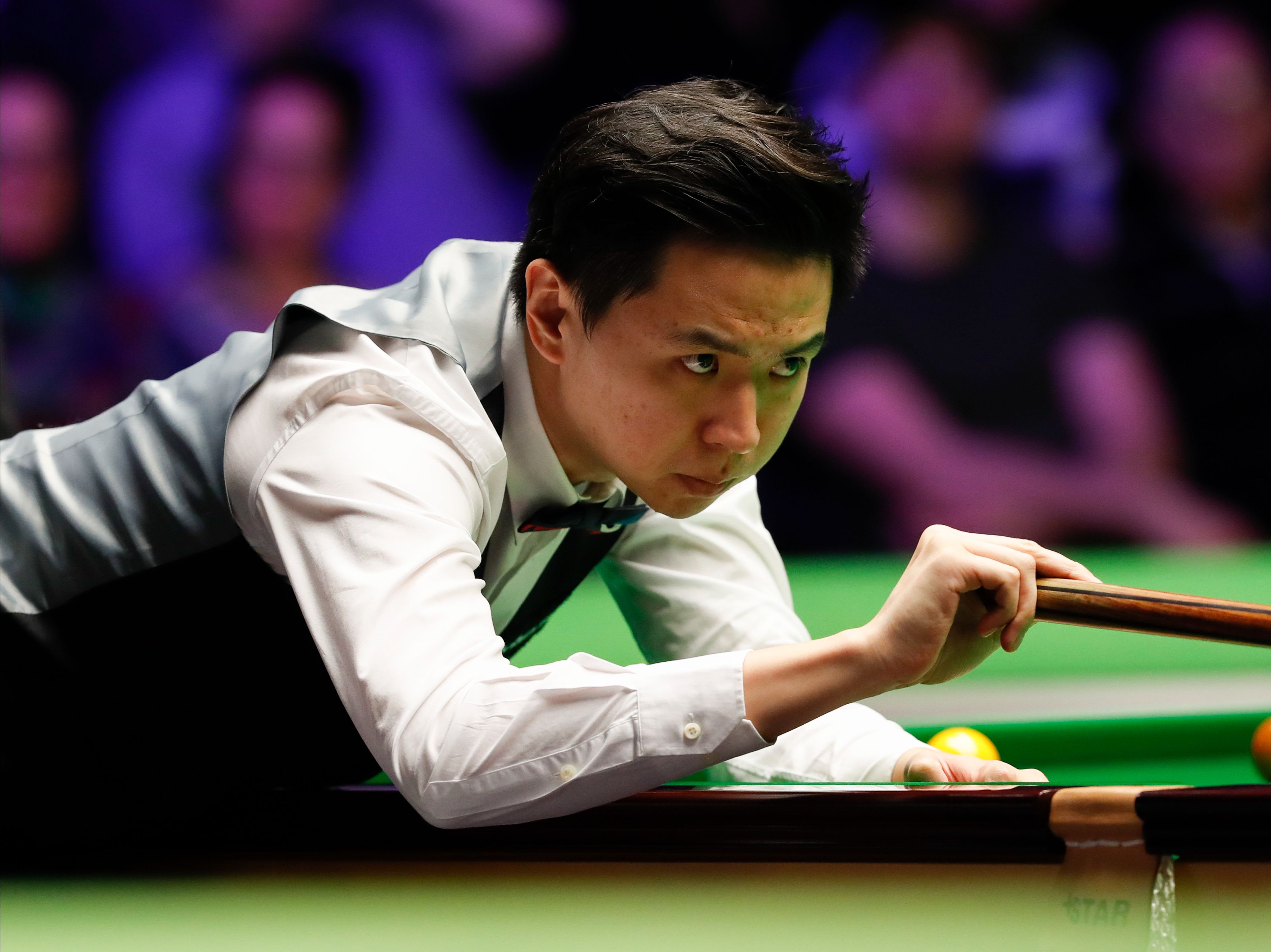 泰森的感情 泰森的感情