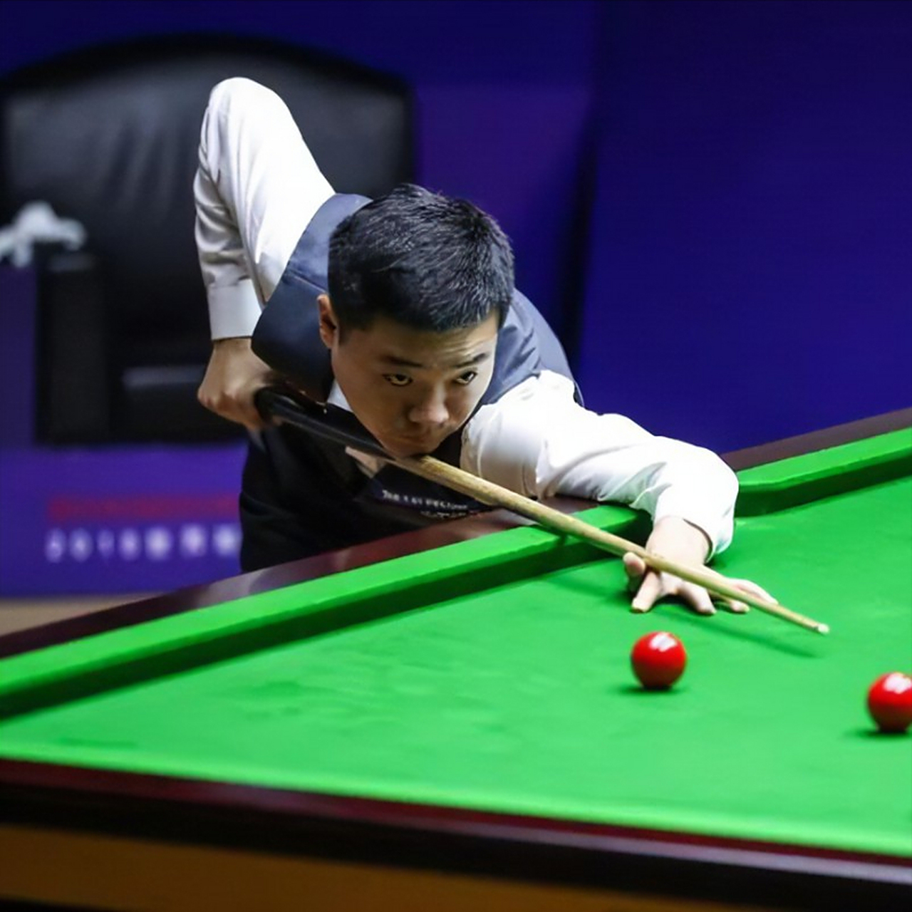 评估中的报 评估中的报