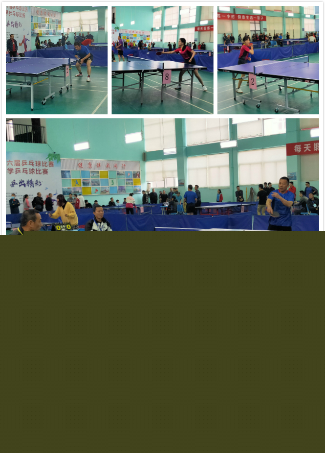 报告
